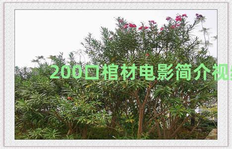 200口棺材电影简介视频