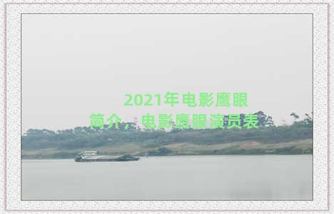 2021年电影鹰眼简介，电影鹰眼演员表