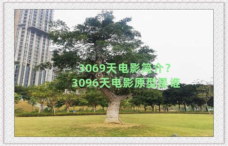 3069天电影简介？3096天电影原型是谁