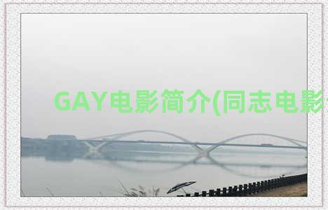 GAY电影简介(同志电影分析)