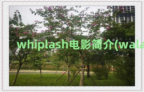 whiplash电影简介(walaipech的电影)