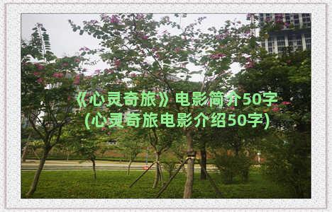 《心灵奇旅》电影简介50字(心灵奇旅电影介绍50字)