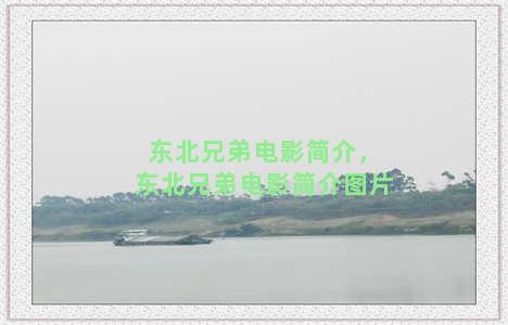 东北兄弟电影简介，东北兄弟电影简介图片