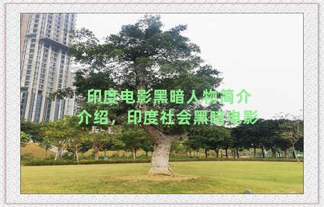 印度电影黑暗人物简介介绍，印度社会黑暗电影