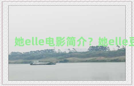 她elle电影简介？她elle豆瓣影评