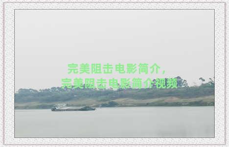 完美阻击电影简介，完美阻击电影简介视频