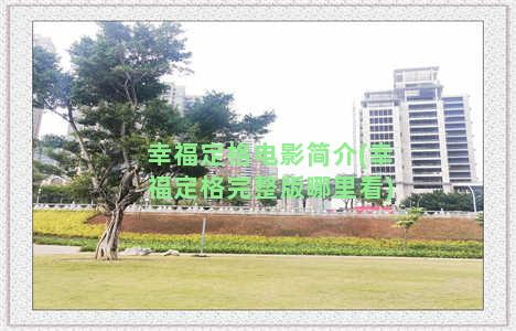 幸福定格电影简介(幸福定格完整版哪里看)