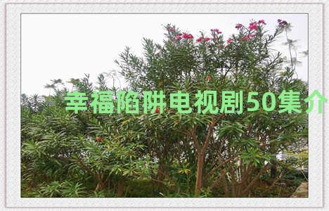 幸福陷阱电视剧50集介绍