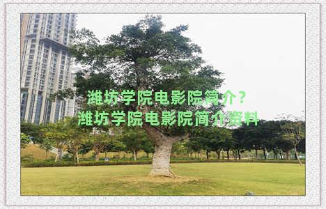 潍坊学院电影院简介？潍坊学院电影院简介资料