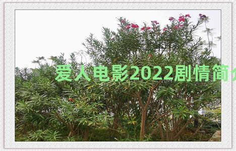 爱人电影2022剧情简介