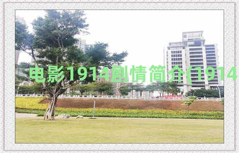 电影1914剧情简介(1914电影影评)