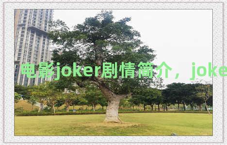 电影joker剧情简介，joker电影解读