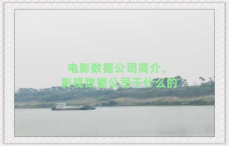 电影数据公司简介，影视数据公司干什么的