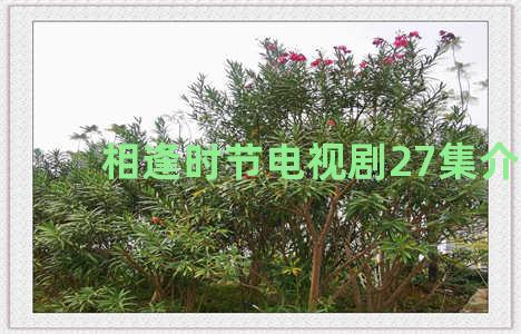 相逢时节电视剧27集介绍