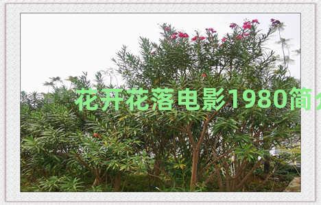 花开花落电影1980简介